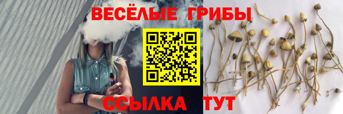 Псилоцибиновые грибы ЛСД  купить наркоту  Ступино  Вход с VPN 