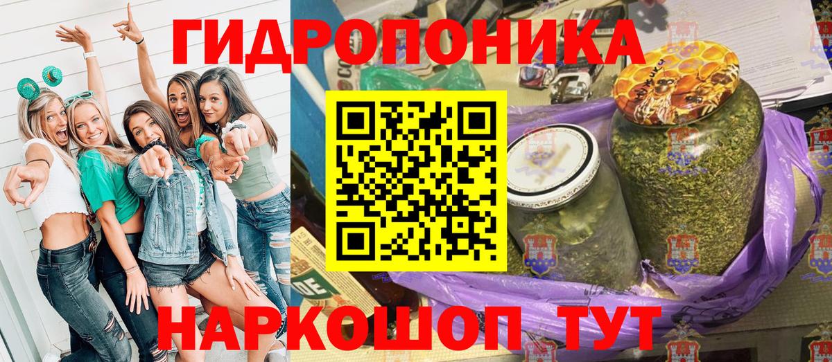 МЕФ Ступино